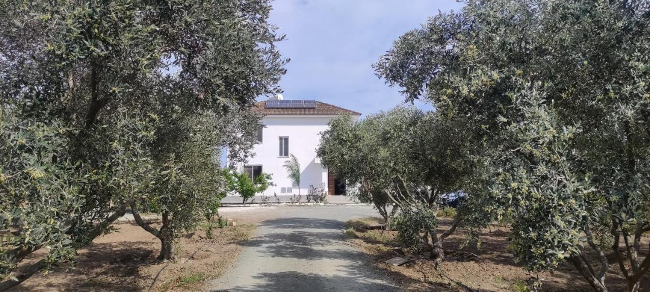 Kiti Village Villa, Cyprus, Salt-Water Pool, 6 Bedrooms, Larnaca Kültér fotó