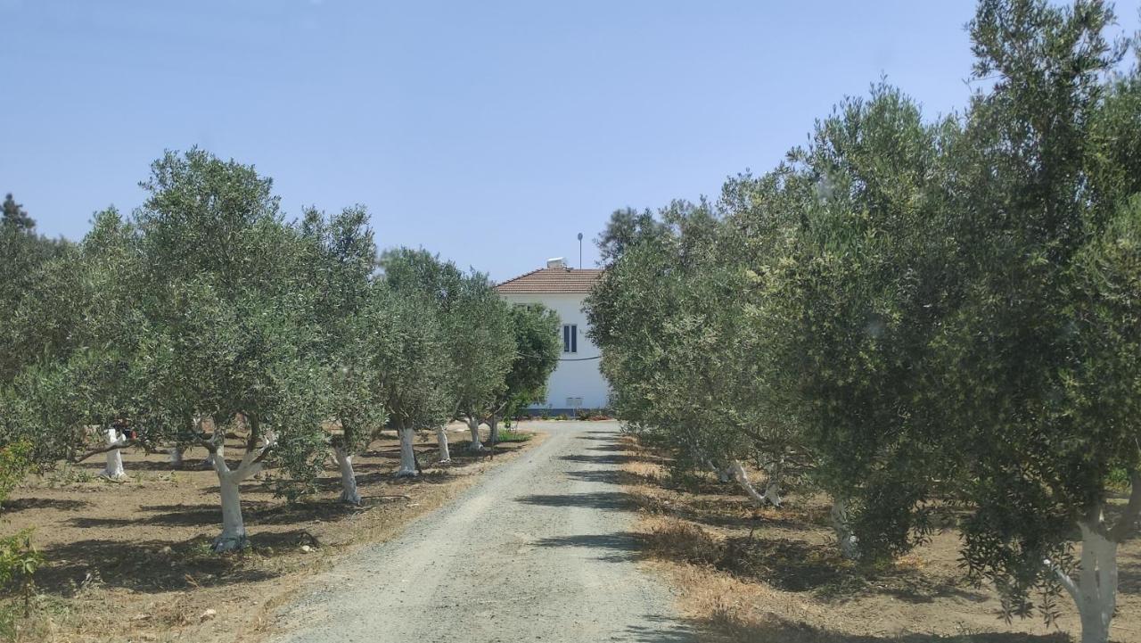 Kiti Village Villa, Cyprus, Salt-Water Pool, 6 Bedrooms, Larnaca Kültér fotó