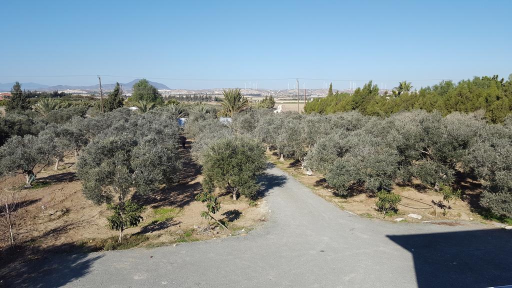 Kiti Village Villa, Cyprus, Salt-Water Pool, 6 Bedrooms, Larnaca Kültér fotó
